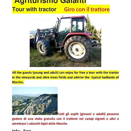 Alloggio per agriturismo Galanti *